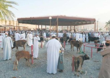 Kozi targ w Nizwie odbywa się w każdy piątek. Stanowi element tradycji i przyciąga zarówno hodowców,