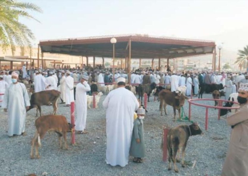 Kozi targ w Nizwie odbywa się w każdy piątek. Stanowi element tradycji i przyciąga zarówno hodowców,