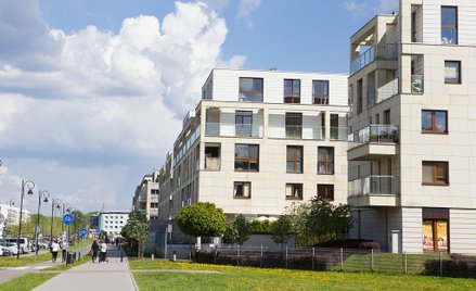 PiS wystraszył klasę średnią. Lemingi są zagubione