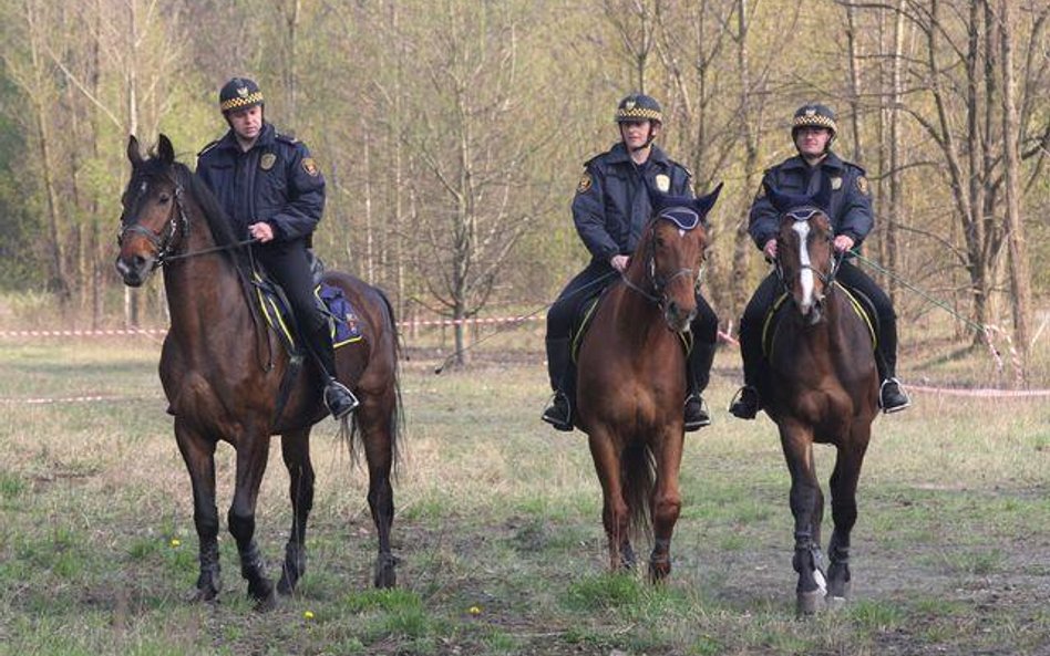 Strażnik z prawem do kontroli osobistej