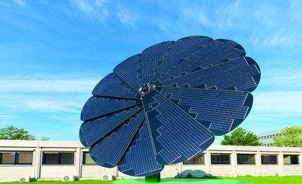 Startują granty norweskie – zielone, niebieskie i dla kobiet