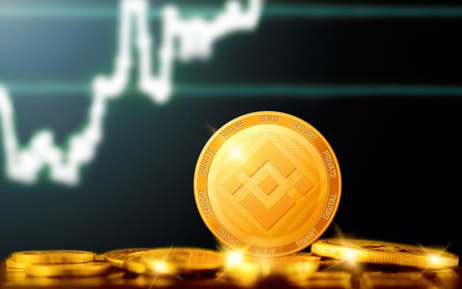 Lider i wicelider polegli. Binance coin ponad 1300 proc. w górę