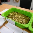 Ciężko rozwiązać problem podatku od dobroczynnych zrzutek
