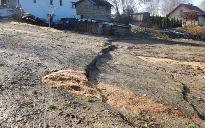 Widok na uaktywnioną skarpę osuwiska nr 86040 w miejscowości Kraków (fot. S. Kamieniarz, 15.02.2023 
