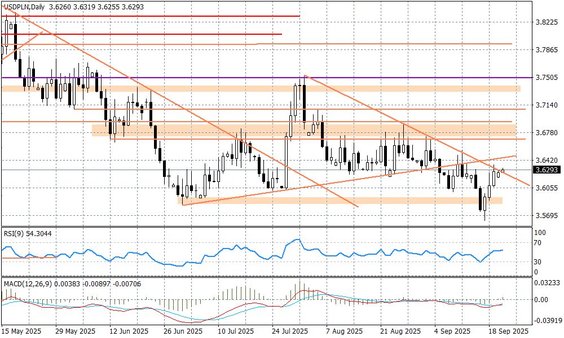 Wykres dzienny USDPLN