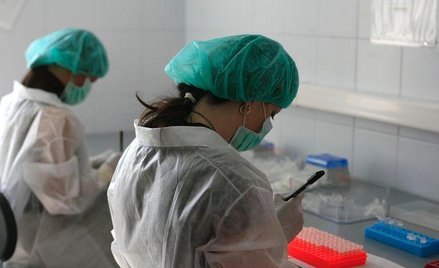Mizerna polska baza DNA
