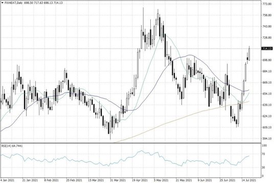 Notowania pszenicy w USA – dane dzienne