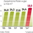 Energetyka gazowa spowoduje wzrost zapotrzebowania. Nowe projekty to efekt norm UE.