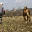 Sąd zwolni z kosztów rolnika po zawałach
