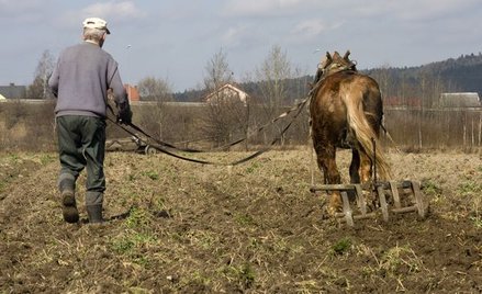 Sąd zwolni z kosztów rolnika po zawałach
