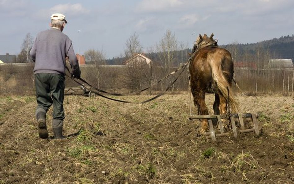 Sąd zwolni z kosztów rolnika po zawałach