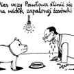 Komentarz rysunkowy. Pies uczy Pawłowa