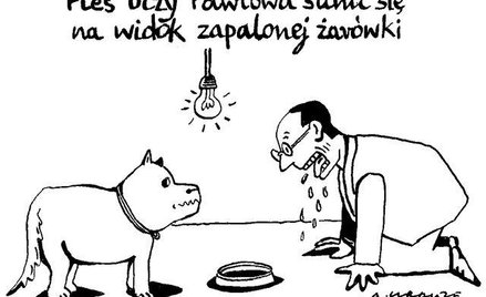 Komentarz rysunkowy. Pies uczy Pawłowa