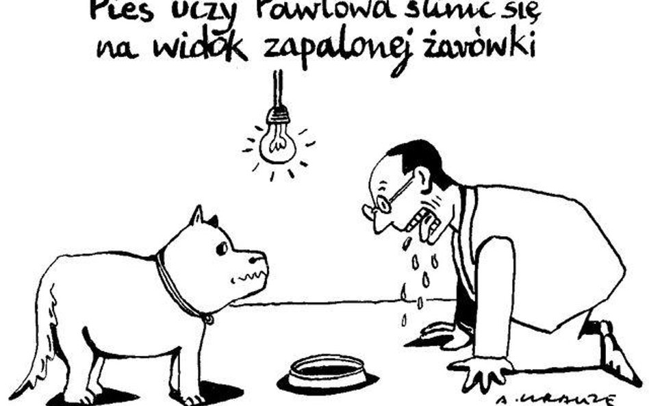 Komentarz rysunkowy. Pies uczy Pawłowa