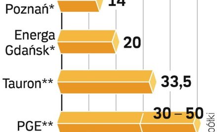 Wydatki w energetyce. Wszystkie spółki planują swoje wydatki na wiele lat. Dlatego nie zamierzają ic