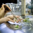 Biotechnologia na celowniku