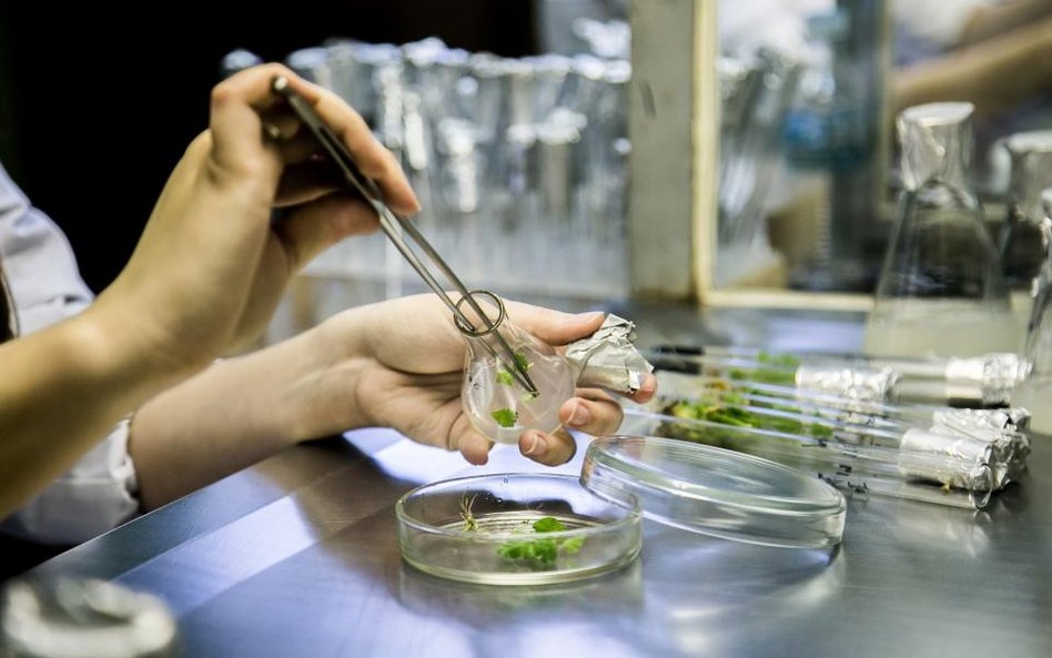 Biotechnologia na celowniku