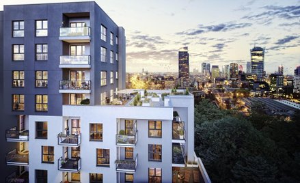 Ronson wprowadził dywidendę minimalną