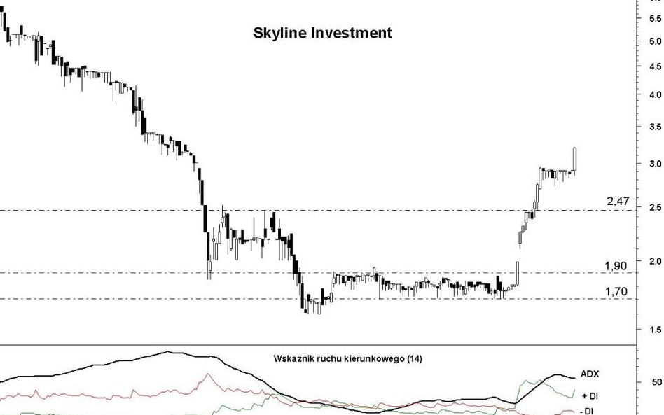 Skyline Investment: kontynuacja styczniowej zwyżki