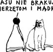 Rysuje Janusz Kapusta