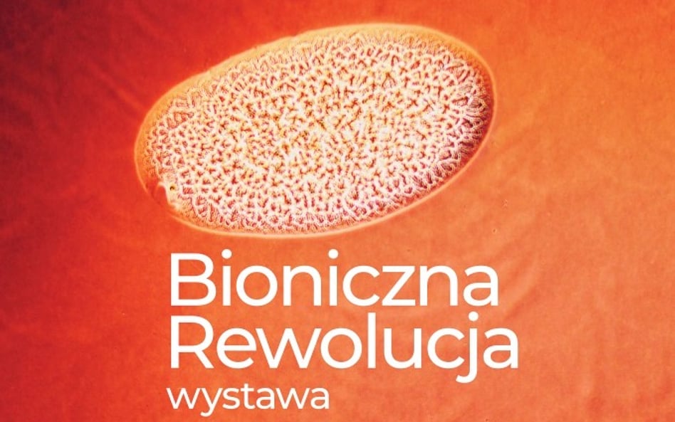 Bioniczna Rewolucja. Fascynująca opowieść o powstawaniu 3D bionicznej trzustki