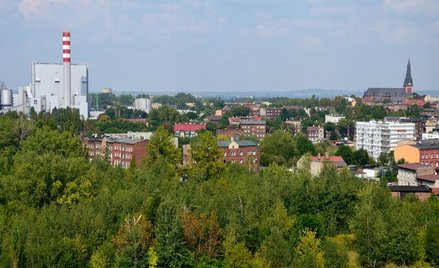 Fontanny, zieleń i rekreacja przed urzędem