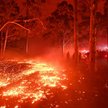 Australijscy strażacy: Zalecenia komisji ws. pożarów buszu nie zostały wdrożone