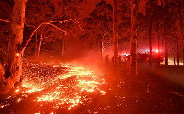 Australijscy strażacy: Zalecenia komisji ws. pożarów buszu nie zostały wdrożone