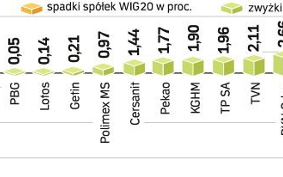 Indeks największych firm zyskaŁ w środę ponad 2 proc.