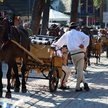 Zakopane przyciąga turystów przez cały rok, ale zimą mogą tam wystąpić problemy z jakością powietrza