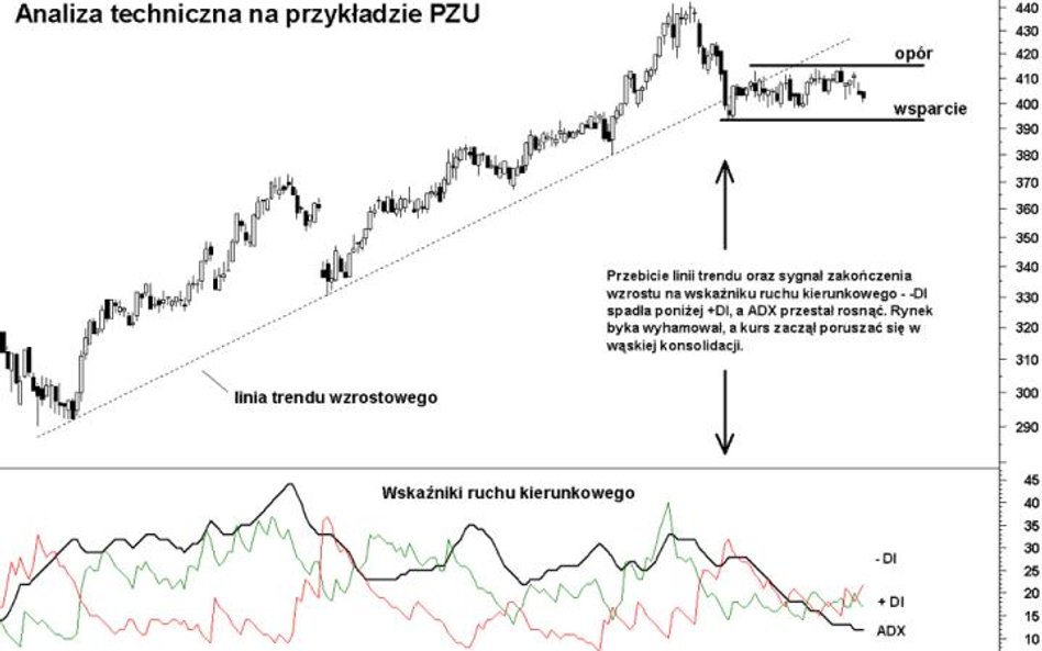 Sztuka czytania wykresów, czyli jakie informacje kryją ceny