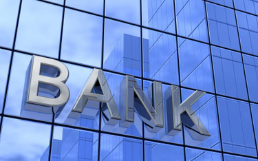 Niższe opłaty przyniosą ulgę obciążonym wynikom sektora bankowego