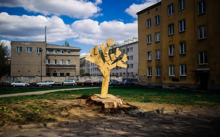 Przyroda (zdjęcie pojedyncze): 2. miejsce - Rafał Siderski, freelancer