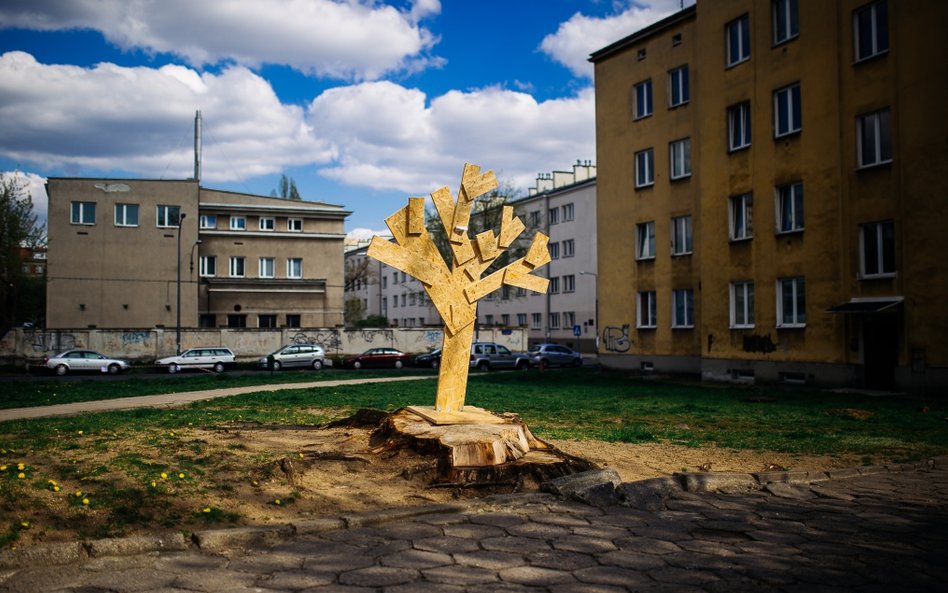 Przyroda (zdjęcie pojedyncze): 2. miejsce - Rafał Siderski, freelancer