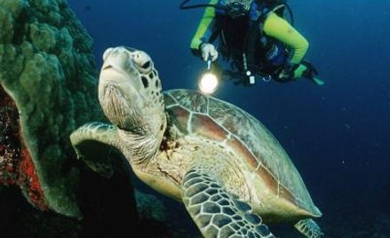 Rezerwatów morskich nie lubią rybacy i nafciarze