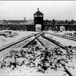 Cichocki: Bohaterstwo na cenzurowanym
