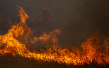 Kalifornia w ogniu: Wiatr utrudnia walkę z pożarem