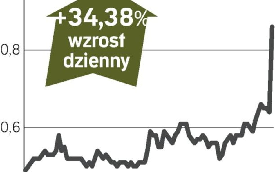 Wchodzi inwestor z USA, kurs rośnie