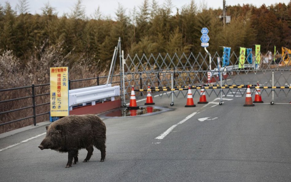 Blokada drogi w okolicy miejscowości Tomioka, prefektura Fukushima
