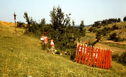 Miejsce katastrofy samolotu Tu-134 w Bułgarii.