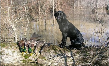 fot. www.huntfishguide.com