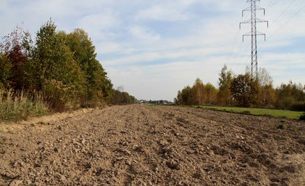 Dopłaty dla rolników na zakręcie. Kto najbardziej straci?