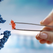 DNA