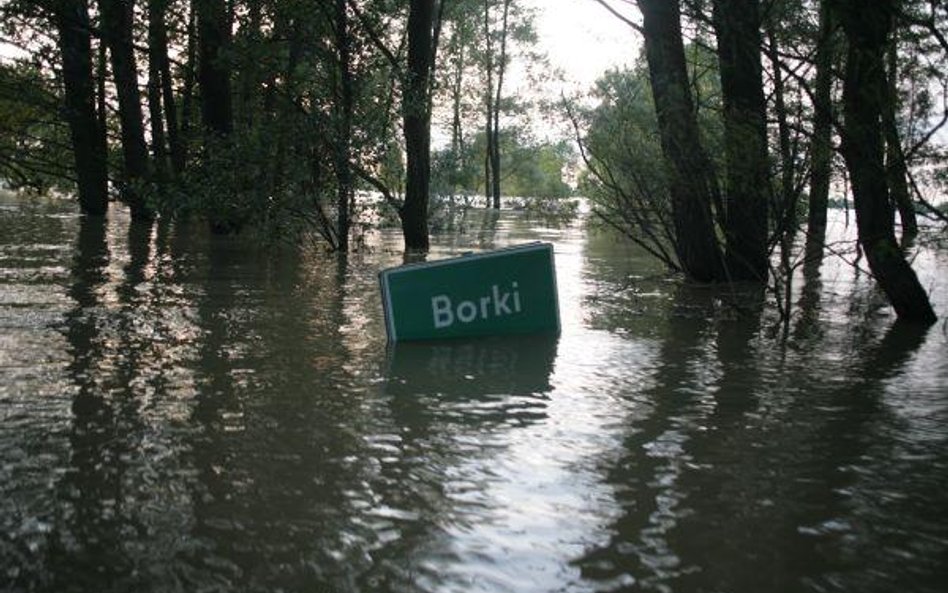 Lasy w powodzi straciły miliony