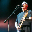 David Gilmour