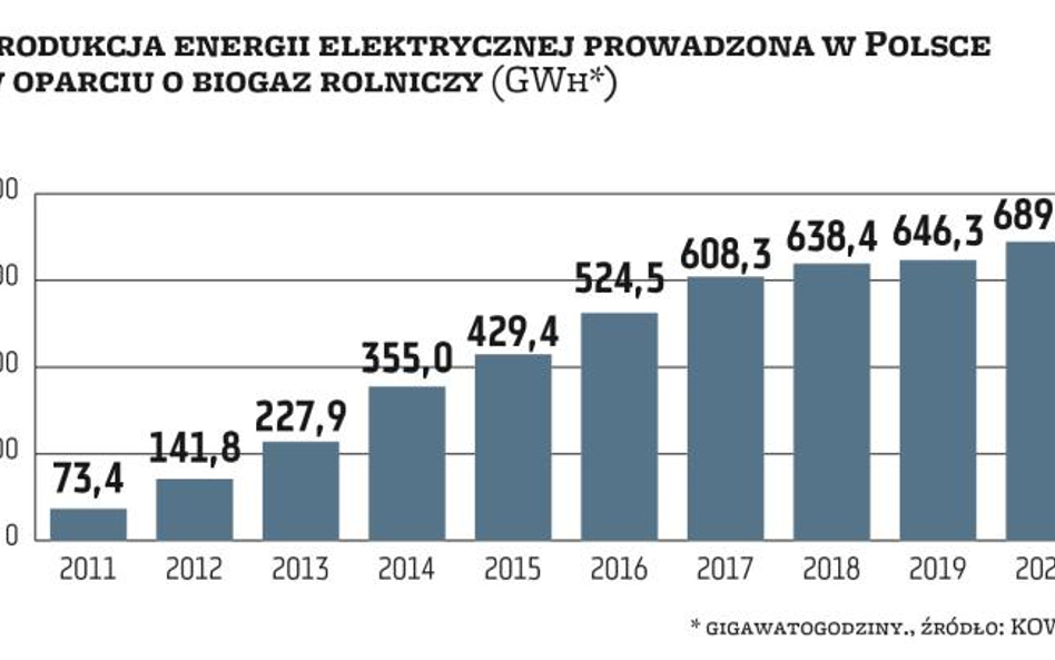 Zwyżki w wytwarzaniu energii elektrycznej z biogazu rolniczego są wprost proporcjonalne do wzrostu p