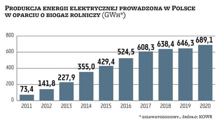 Zwyżki w wytwarzaniu energii elektrycznej z biogazu rolniczego są wprost proporcjonalne do wzrostu p