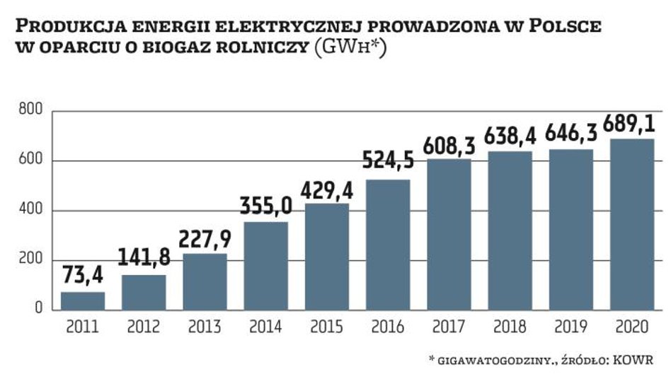 Zwyżki w wytwarzaniu energii elektrycznej z biogazu rolniczego są wprost proporcjonalne do wzrostu p
