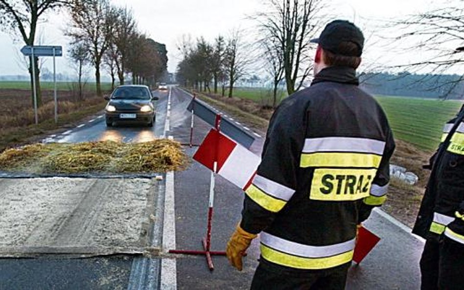 Na Mazowszu ponownie pojawił się wirus ptasiej grypy