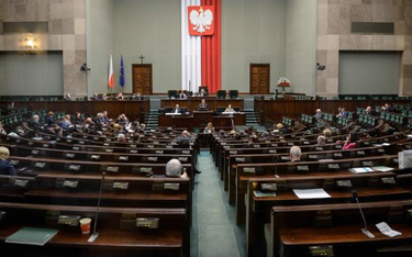 Sejm podczas dzisiejszej debaty o in vitro